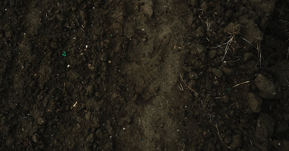 Biochar from Waste Pyrolysis: Soil Amendment and Carbon Sequestration