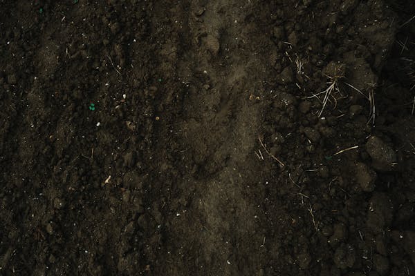 Biochar from Waste Pyrolysis: Soil Amendment and Carbon Sequestration