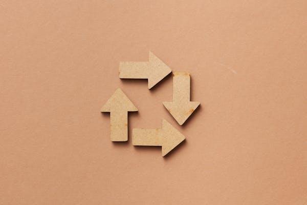 Circular Economy: How Waste Becomes a Resource