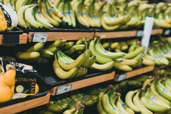 Co-Digestion Economics Belong to Whoever Owns the Depackaging Line