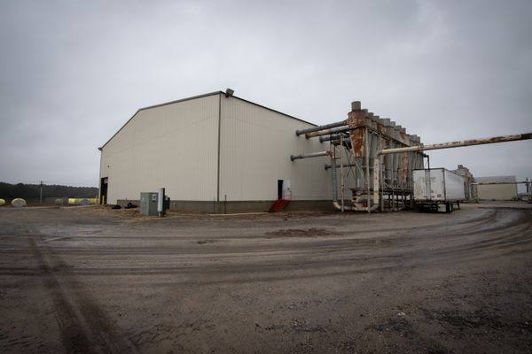 A Wetlands Permit Underwrites the $70 Million AMP Robotics Project Financing